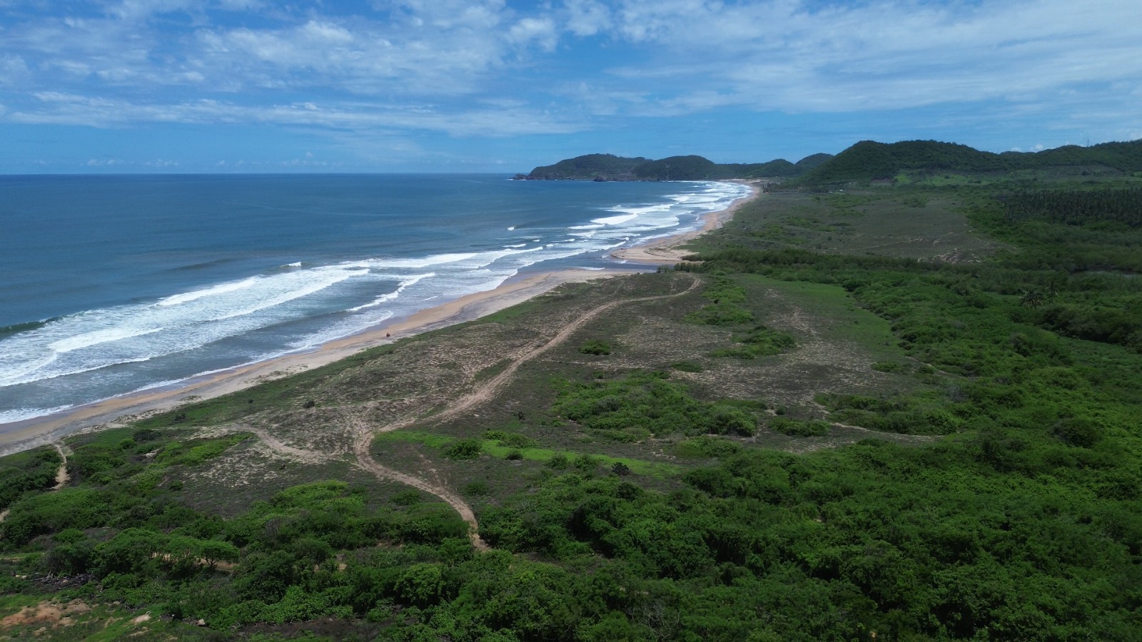 Playa extensa vista desde el aire con vegetación exuberante