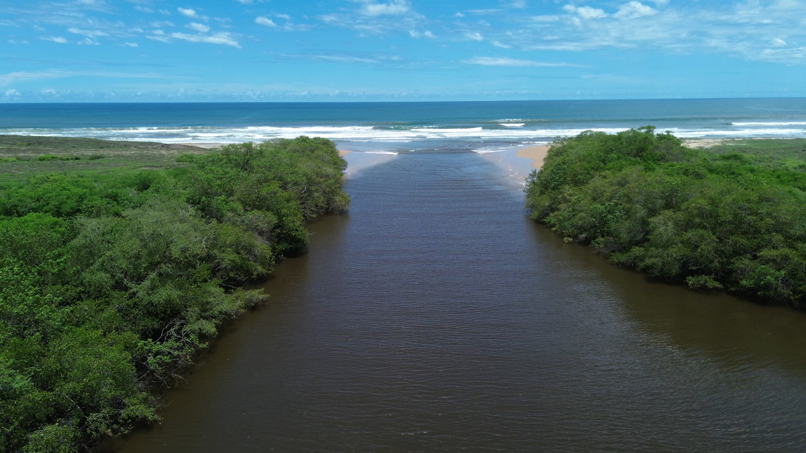 Confluencia del río con el océano rodeada de manglares verdes