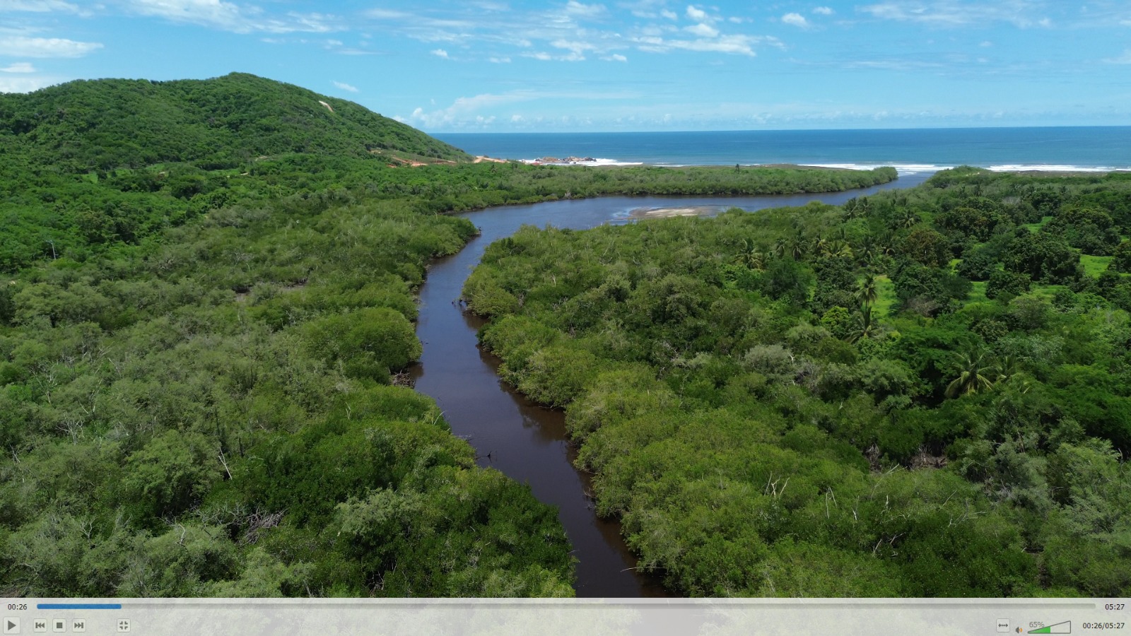 Laguna serpenteante a través de la selva tropical hacia el océano